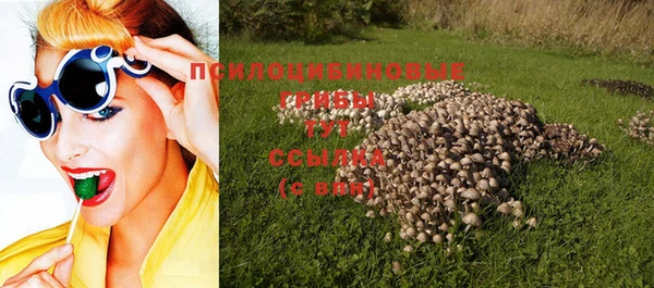 кокс Няндома