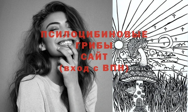 кокс Няндома