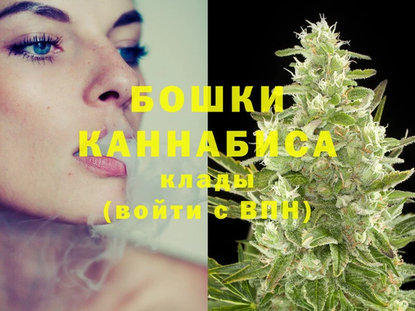кокс Няндома
