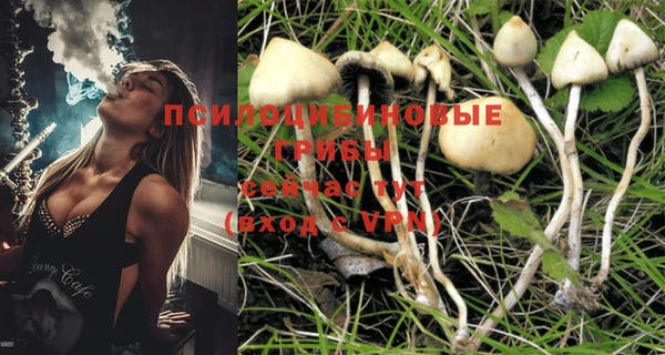кокс Няндома