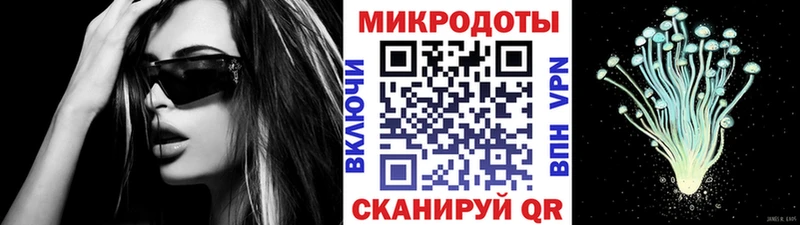 kraken как зайти  Бавлы  Псилоцибиновые грибы Cubensis 